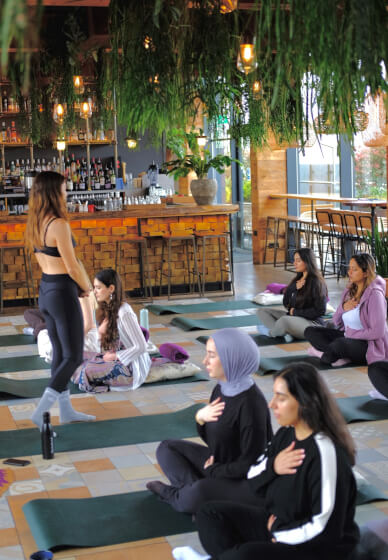 Dreams, Blue Lotus and Sound Healing