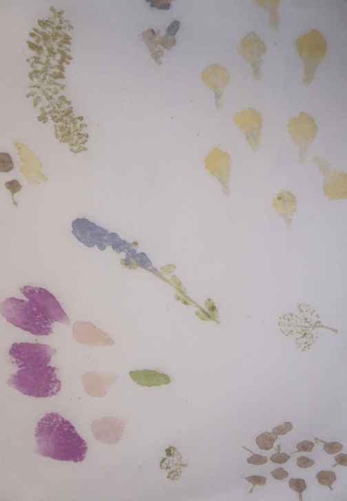 Flower Printing Textiles Workshop