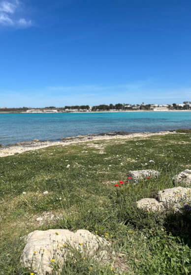 Food and Wellness Retreat in Salento