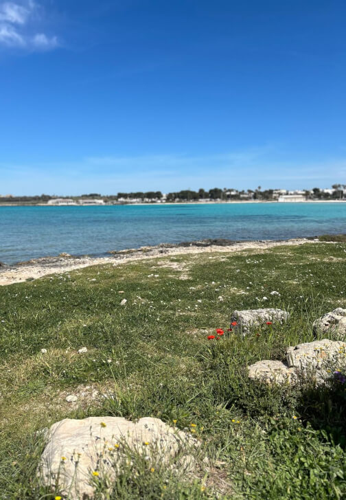 Food and Wellness Retreat in Salento