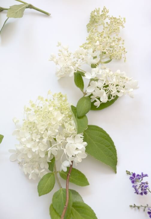 Foraged from the Garden Floristry Workshop