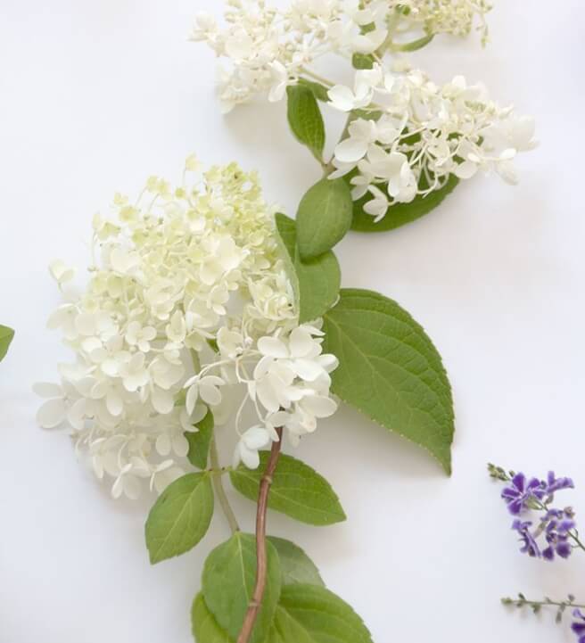 Foraged from the Garden Floristry Workshop