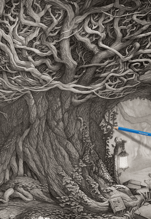 Forest Drawing Course