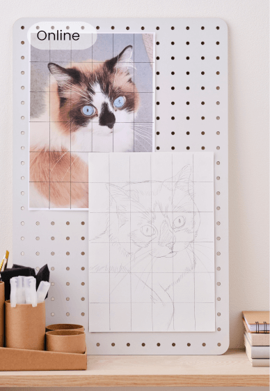 Grid Method Cat Drawing Class