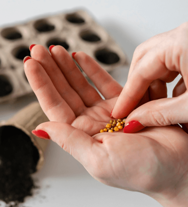 Grow Fresh Herbs and Vegetables at Home Workshop