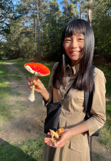 Guided Mushroom Foraging Class for Beginners