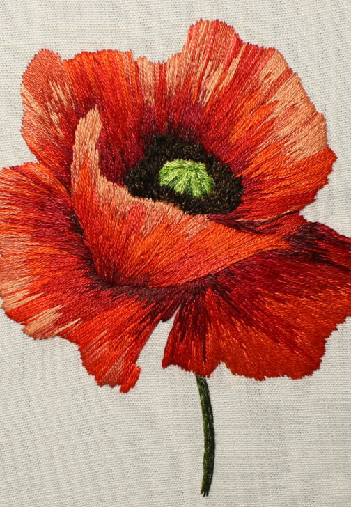 Hand Embroidery: Introduction to Thread Painting