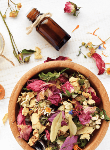 Herbal Remedies Workshop: Harvesting the Meadow