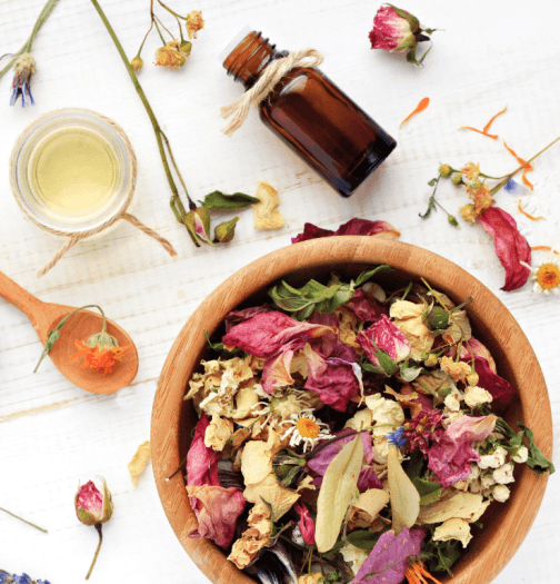Herbal Remedies Workshop: Harvesting the Meadow