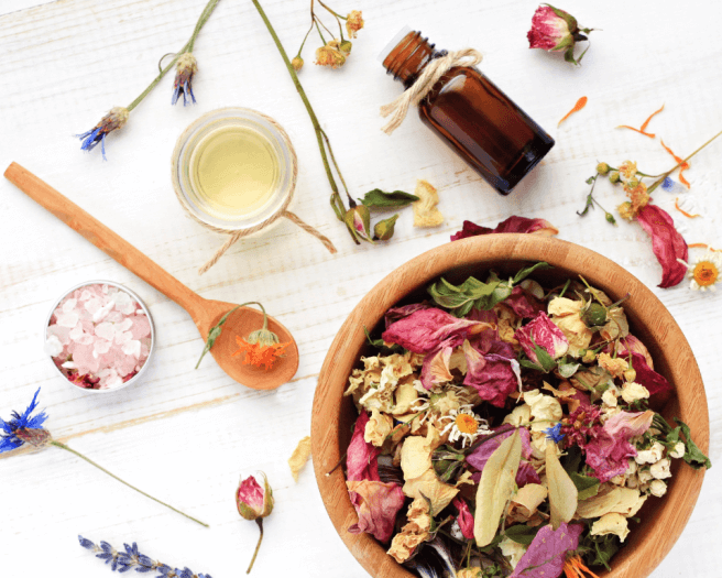 Herbal Remedies Workshop: Harvesting the Meadow