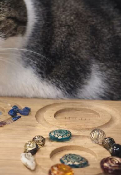 Healing Forest Beads Jewellery Workshop