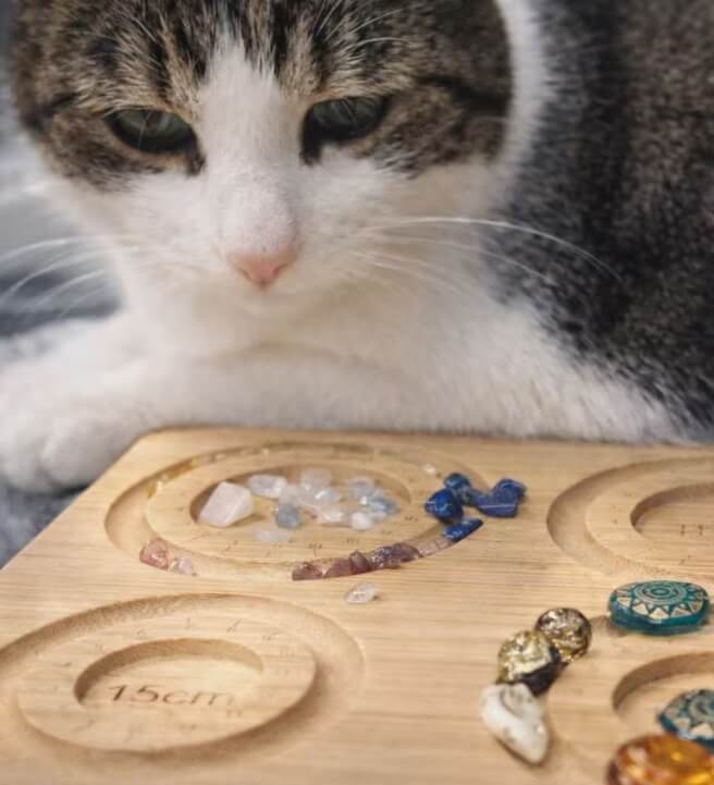 Healing Forest Beads Jewellery Workshop
