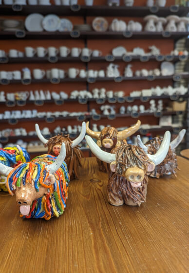 Highland Cow Pottery Class