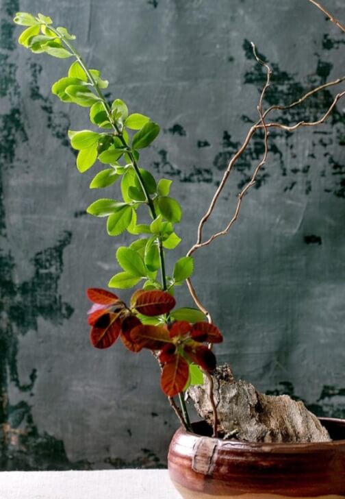 Ikebana Workshop
