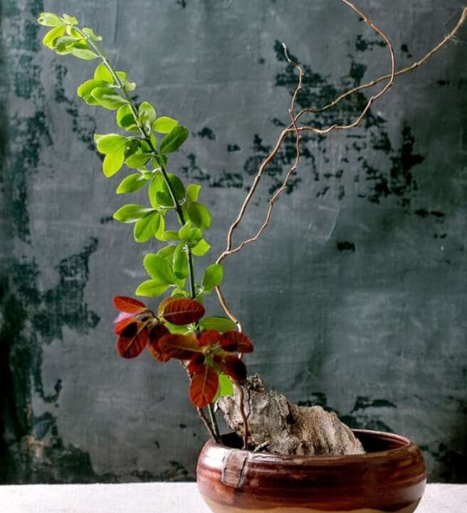 Ikebana Workshop