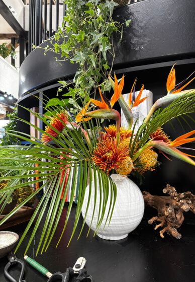 Intermediate Ikebana Workshop - Beyond the Basics