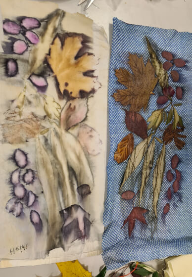 Introduction to Botanical Printing Workshop