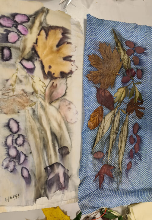 Introduction to Botanical Printing Workshop