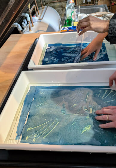 Introduction to Cyanotype Printmaking Workshop