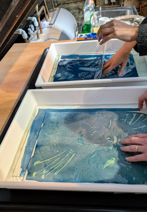 Introduction to Cyanotype Printmaking Workshop