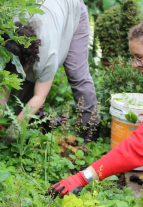 Introduction to Gardening Course