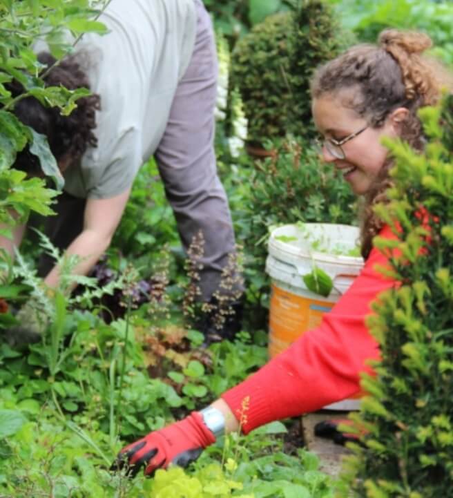 Introduction to Gardening Course