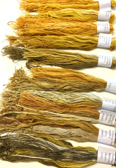 Introduction to Natural Dyeing Workshop