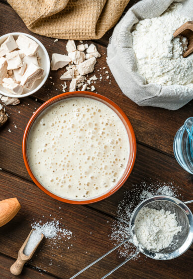 Introduction to Sourdough