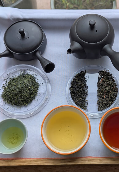 Japanese Tea Tasting: One Leaf, Many Styles - Brighton