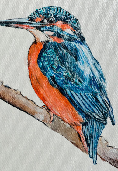 Kingfisher Painting Workshop