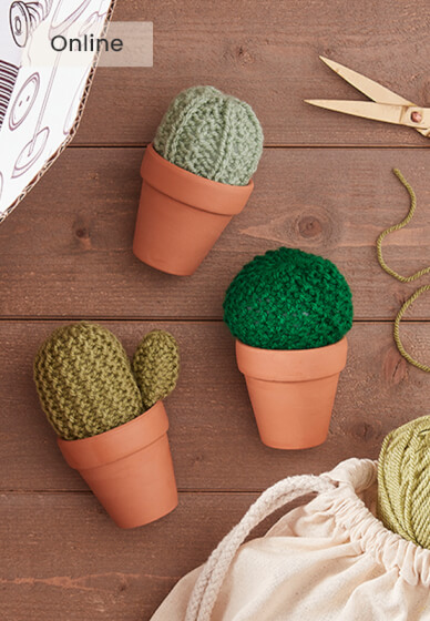 Knitted Miniature Cacti Workshop