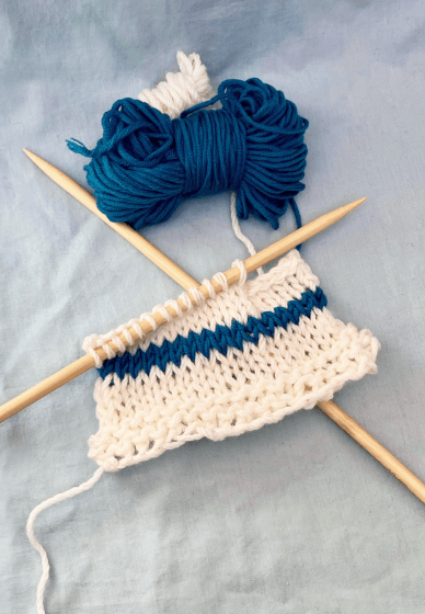 Knitting Workshop for Beginners