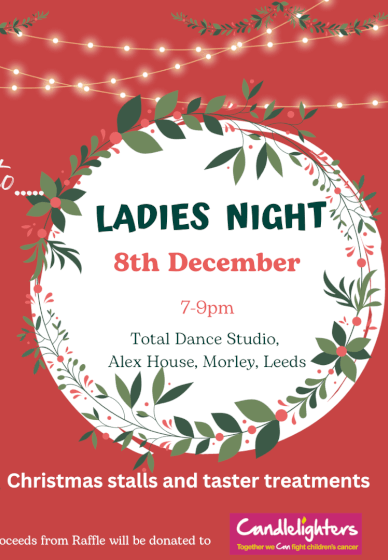 Ladies Christmas Shop and Paint Evening