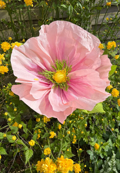 Large Paper Flower Making Workshop