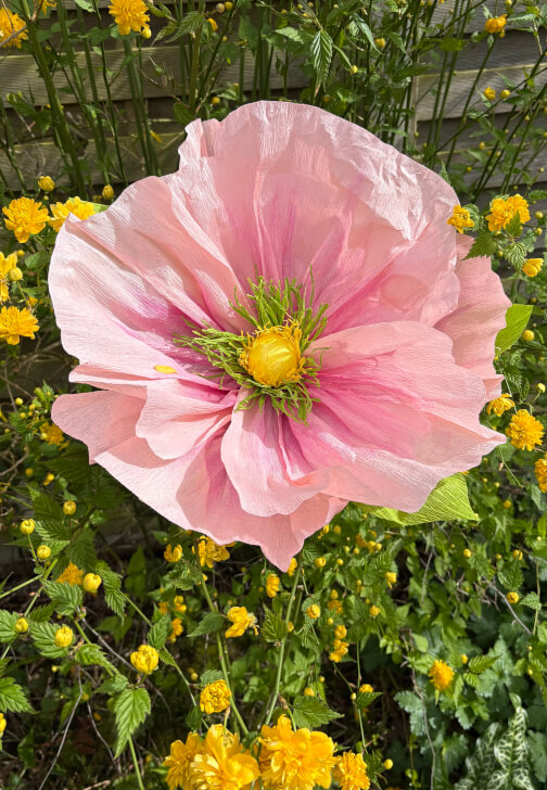 Large Paper Flower Making Workshop