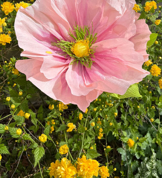 Large Paper Flower Making Workshop