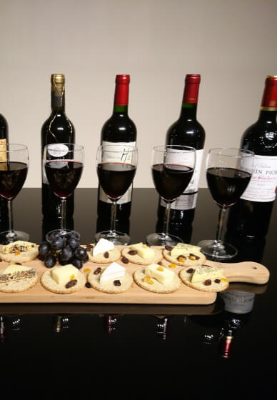 Luxury Vintage and Estate Red Wine and Cheese Tasting