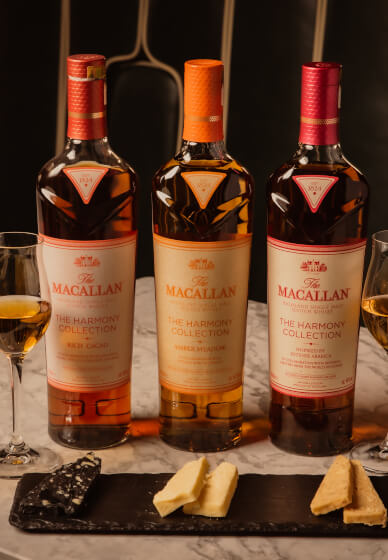 Macallan Harmony Experience with Cheese