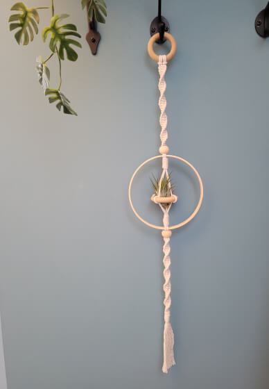 Macrame Air Plant Hanger Workshop for Beginners