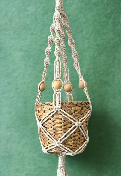 Macrame Plant Hanger Workshop for Beginners