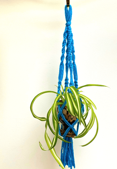 Macrame Workshop: Ready to Hang Mini Plant Hanger