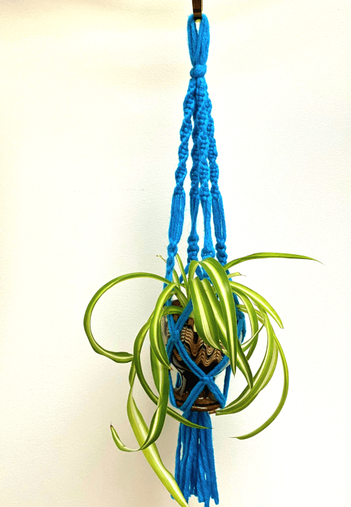 Macrame Workshop: Ready to Hang Mini Plant Hanger