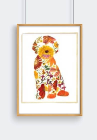 Make a Pressed Flower Frame