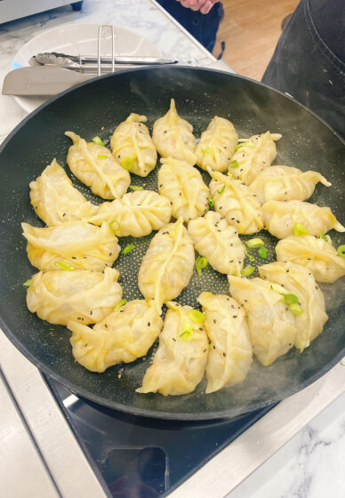 Make Dumplings or Gyoza at Home