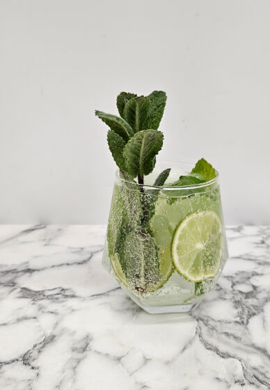Make Mojito at Home with Home-grown Mint
