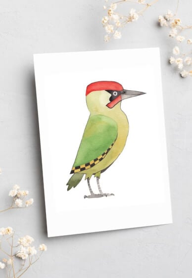 Make Watercolour Birds Postcards at Home