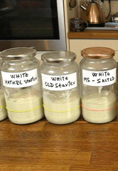 Master Sourdough Starters and Leavens at Home
