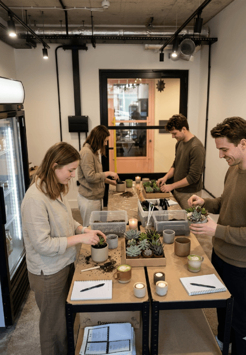 Matcha and Plant Workshop