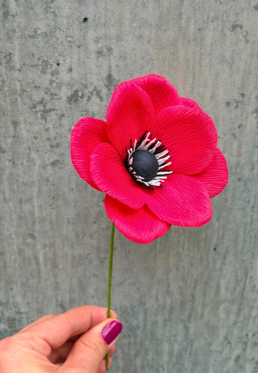 Mindful Afternoon: Paper Anemone Workshop