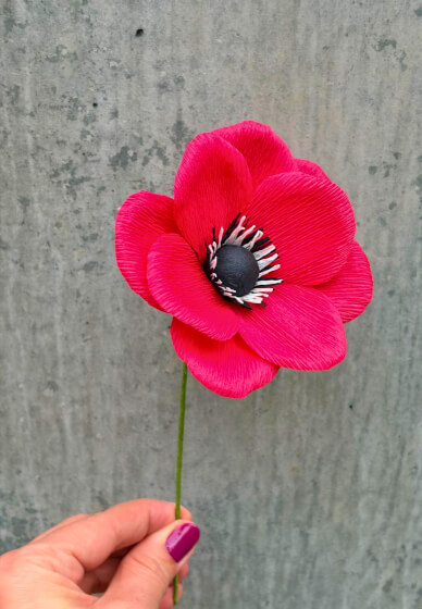 Mindful Morning: Paper Anemone Workshop